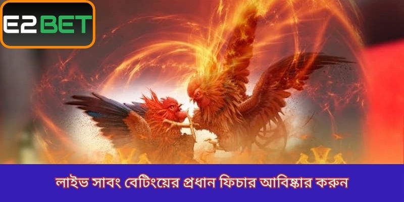 লাইভ সাবং বেটিংয়ের প্রধান ফিচার আবিষ্কার করুন