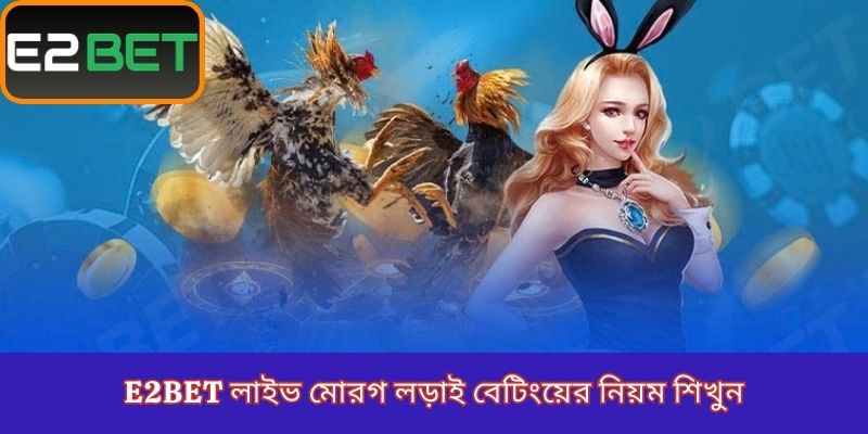 E2Bet লাইভ মোরগ লড়াই বেটিংয়ের নিয়ম শিখুন