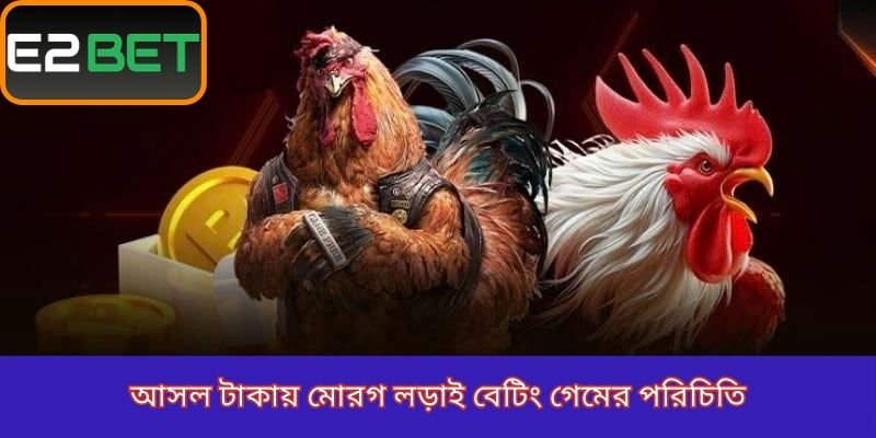 আসল টাকায় মোরগ লড়াই বেটিংয়ের সংক্ষিপ্ত পরিচিতি